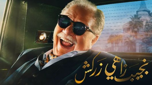 مسلسل نجيب زاهي زركش الحلقة 9