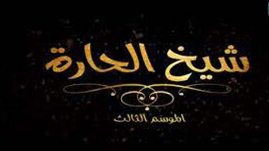 برنامج شيخ الحارة الجزء الثالث الحلقة 12