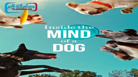 فيلم Inside the Mind of a Dog 2024 فاصل اعلاني