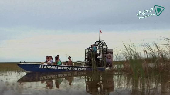 فيلم Lake Fear 2 The Swamp 2016 مترجم