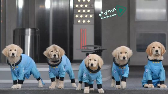 فيلم Space Buddies 2009 مترجم