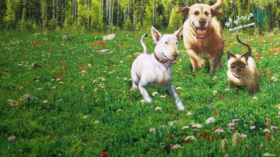 فيلم The Incredible Journey 1963 مترجم