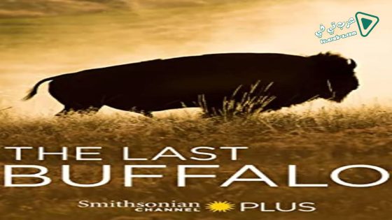 فيلم The Last Buffalo 2017 مترجم