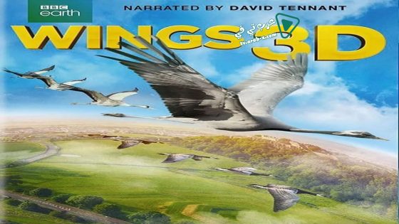 فيلم Wings 2014 مترجم